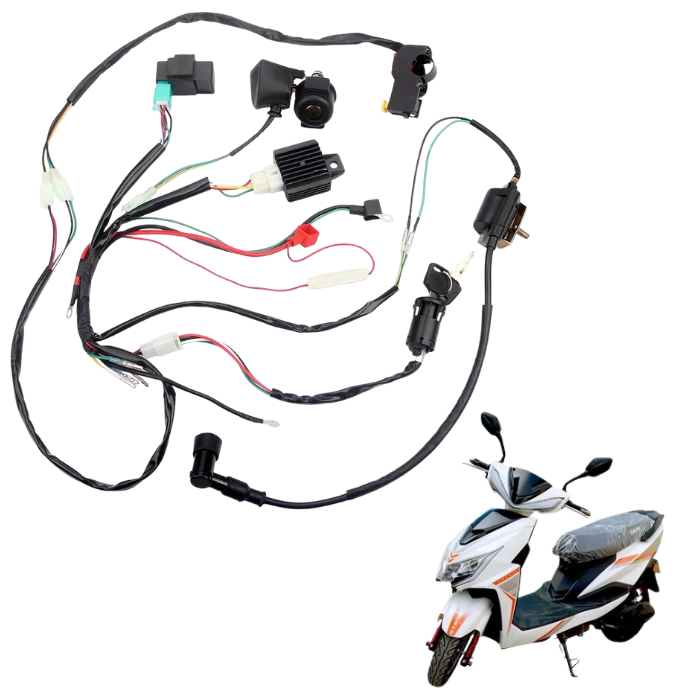 Automotive EV